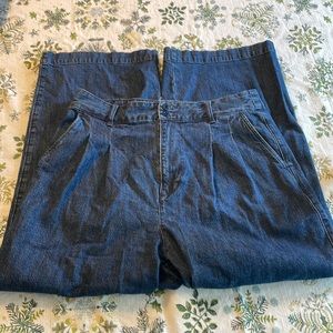 Madewell Pleated Wide Leg Jeans